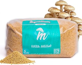 Mycelium 5 lb Millet Mushroom Grain Spawn | Pre-Sterilized Bag with Self-Healing Injection Port – Ideal for Fast, Clean Mycelium Growth | Ready to Inoculate for At-Home Cultivation | Made in USA